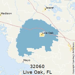 LIVE OAK FLORIDA FL 32060 32064 PROFILE POPULATION MAPS REAL visual data 4